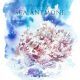 Sea Anemone Watercolor Illustration